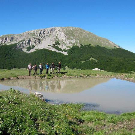 B&B Sole Del Pollino Ροτόντα Εξωτερικό φωτογραφία
