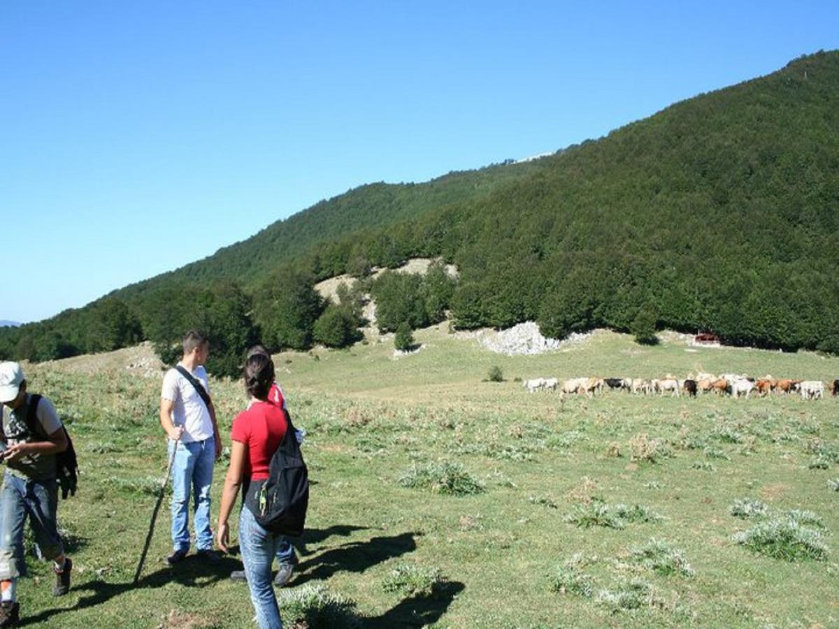 B&B Sole Del Pollino Ροτόντα Εξωτερικό φωτογραφία